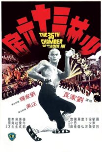دانلود فیلم The 36th Chamber of Shaolin 1978418237-138235786