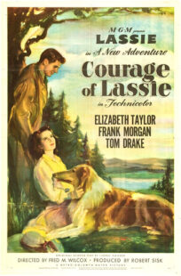 دانلود فیلم Courage of Lassie 1946417427-920204454
