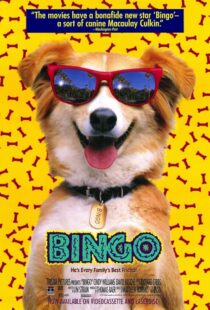 دانلود فیلم Bingo 1991417459-555617942