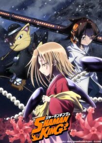 دانلود انیمه Shaman King422246-1900071465