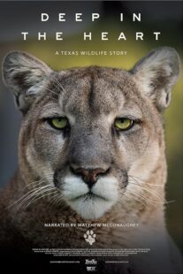 دانلود مستند Deep in the Heart: A Texas Wildlife Story 2022421545-1786473998