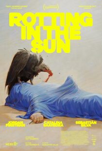 دانلود فیلم Rotting in the Sun 2023418816-167415595