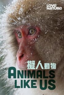 دانلود مستند Animals Like Us423066-599755657
