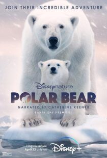 دانلود مستند Polar Bear 2022422974-1508046574