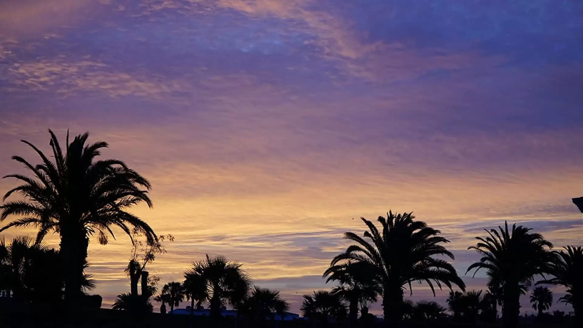 دانلود فیلم One Glorious Sunset 2020