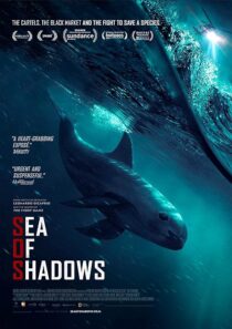 دانلود فیلم Sea of Shadows 2019427147-739936614