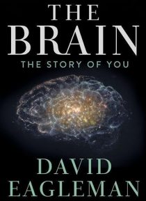 دانلود سریال The Brain with Dr. David Eagleman428613-213804758