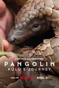 دانلود مستند Pangolin: Kulu’s Journey 2025430703-1977893220
