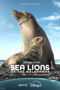 دانلود مستند Sea Lions of the Galapagos 2025431056-432762053